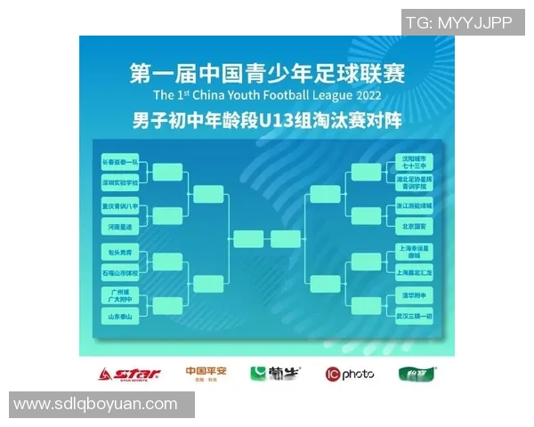 全球足球十五大球星数据对比分析：全面解析个人成就与赛场表现