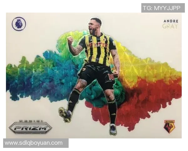 帕尼尼足球球星卡收藏热潮揭秘与投资价值分析 帕尼尼足球球星卡收藏热潮揭秘与投资价值分析