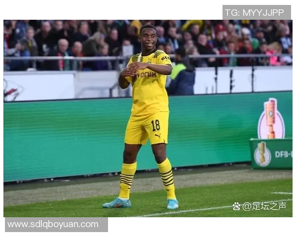 全球足球明星数量盘点：来自各国的顶尖球员有多少位